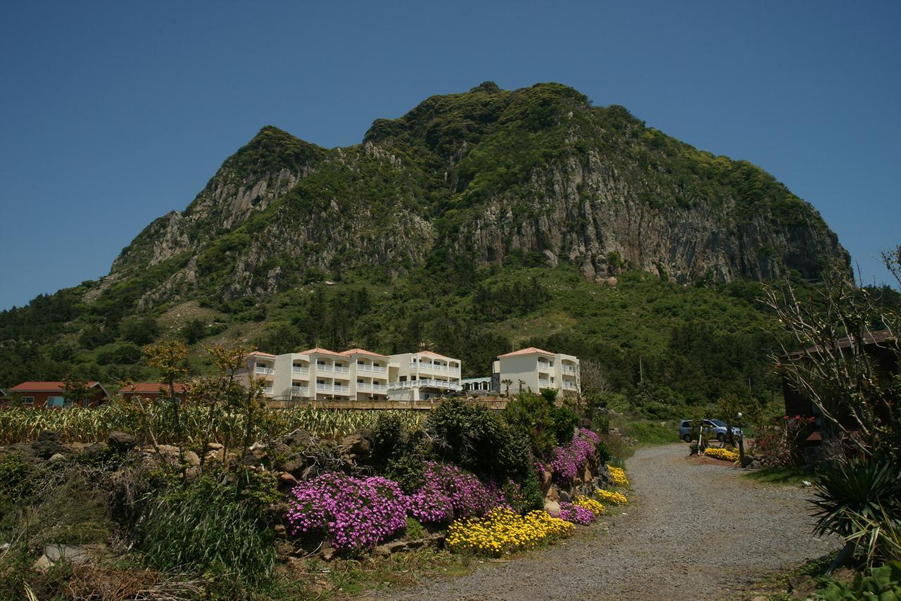 Jeju The Ocean Hill Pension Seogwipo Ngoại thất bức ảnh